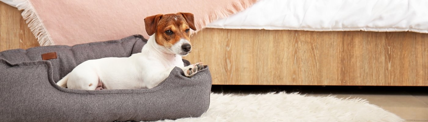 Manta Viaje Bendson para perros – Viajes 4Patas